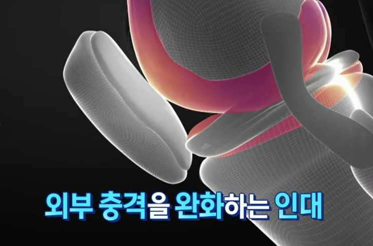 프로테오글리칸