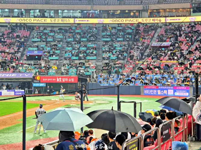 야구 우천취소 기준