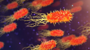 성인 홍역 예방접종