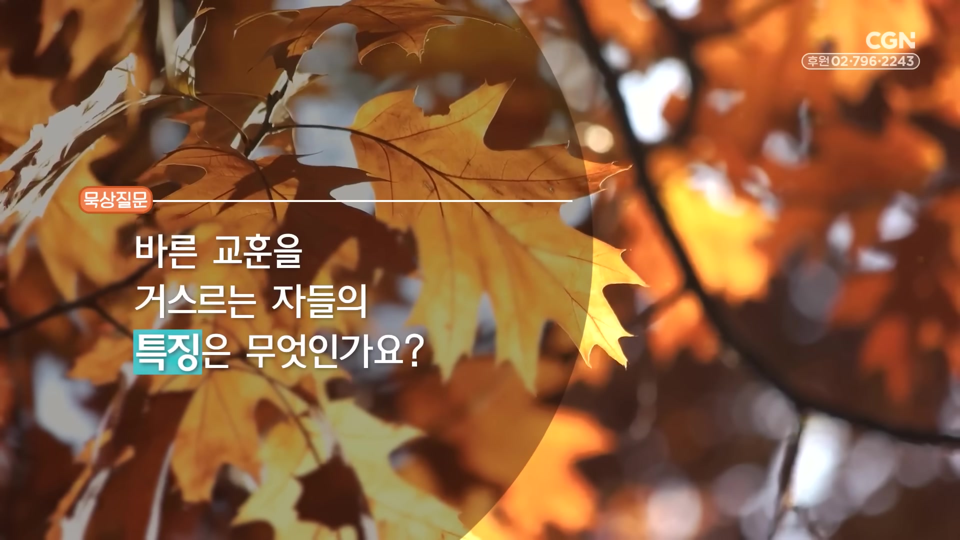 바른 교훈을 거스르는 자들의 특징은 무엇인가요?