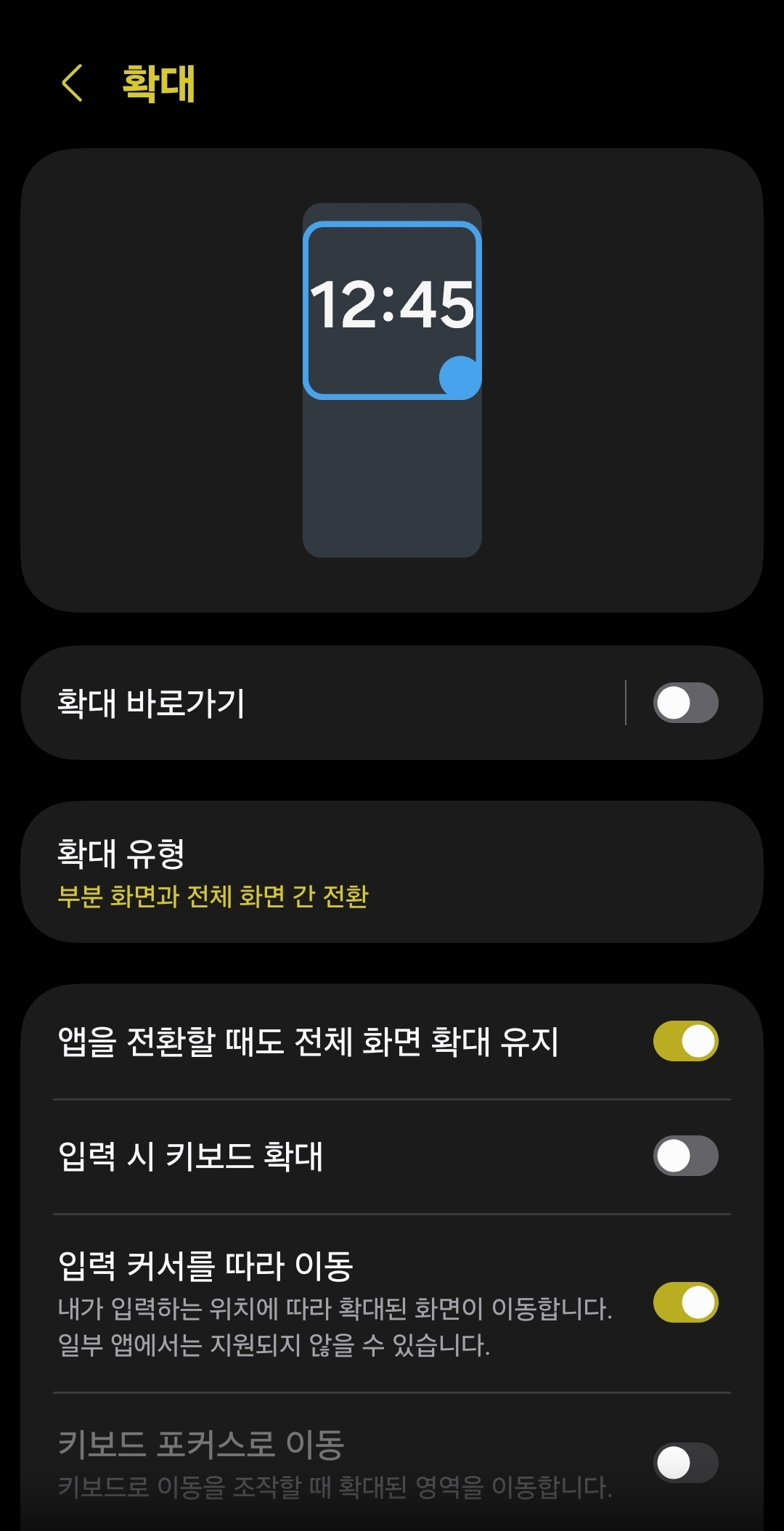 갤럭시 접근성 시각 보조 화면의 확대 설정