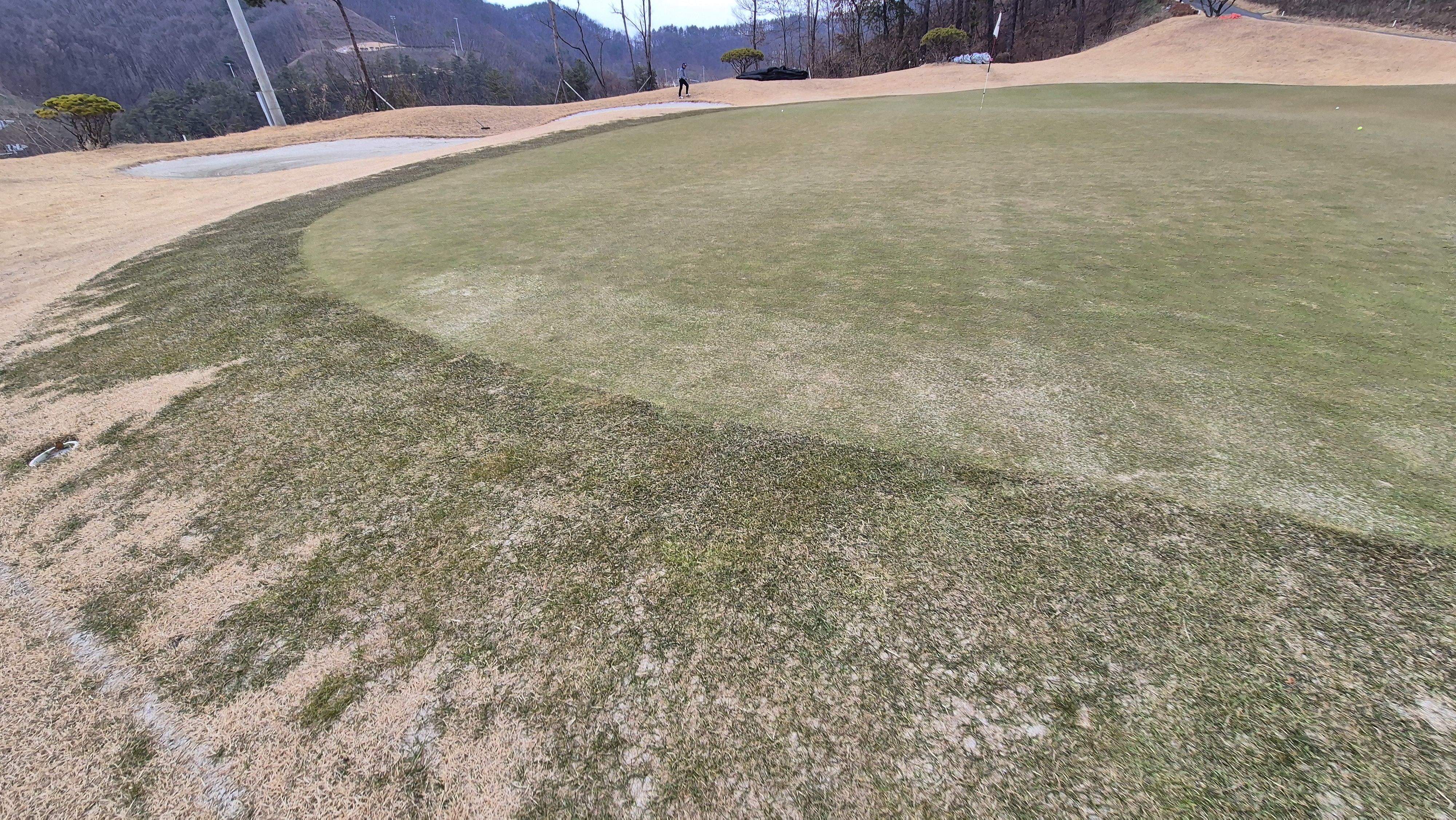 모나크cc 라운드 후기 그린관리상태