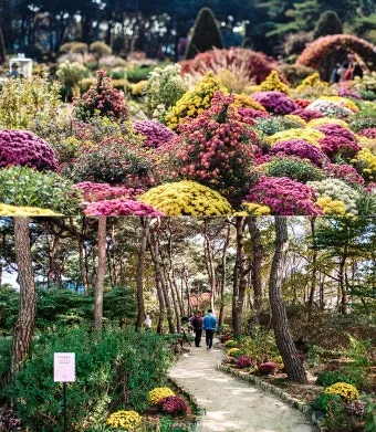 파주 가볼만한곳 맛집 카페 추천 가을 여행 코스_19