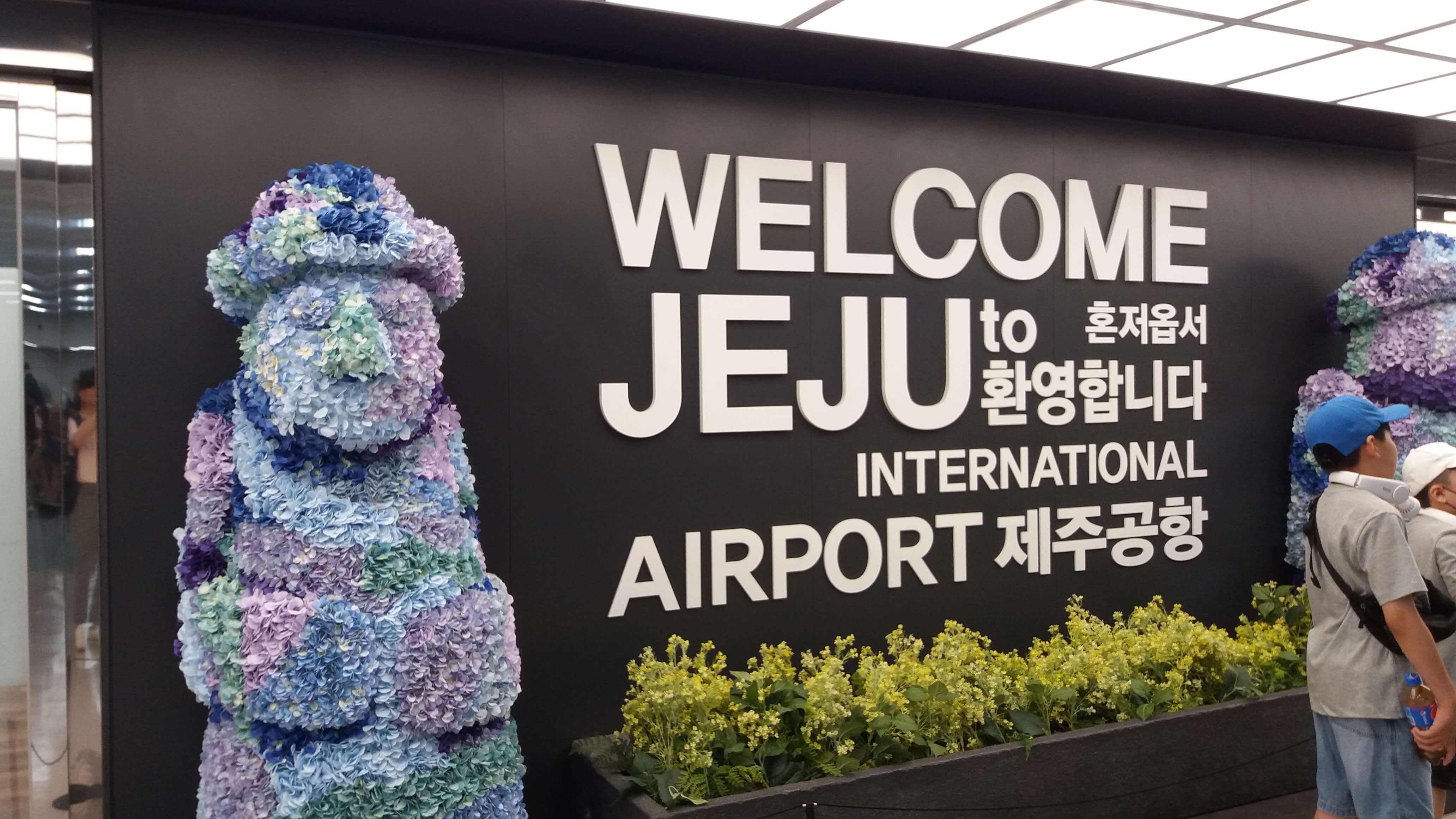 ์ ์ฃผ๊ณตํญ๋ ํธ์นด ์ถ์ฒ