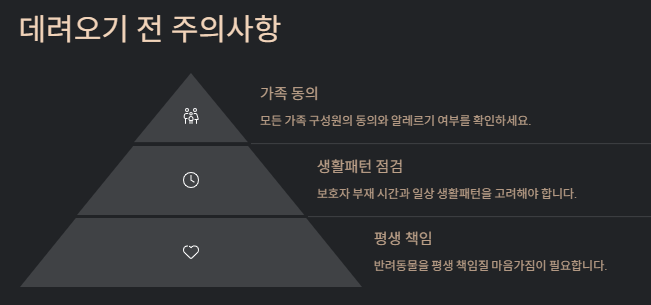 고양이 키우기: 초보집사를 위한 입분양부터 준비물 및 주의사항