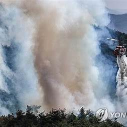 의성 산불진화작업