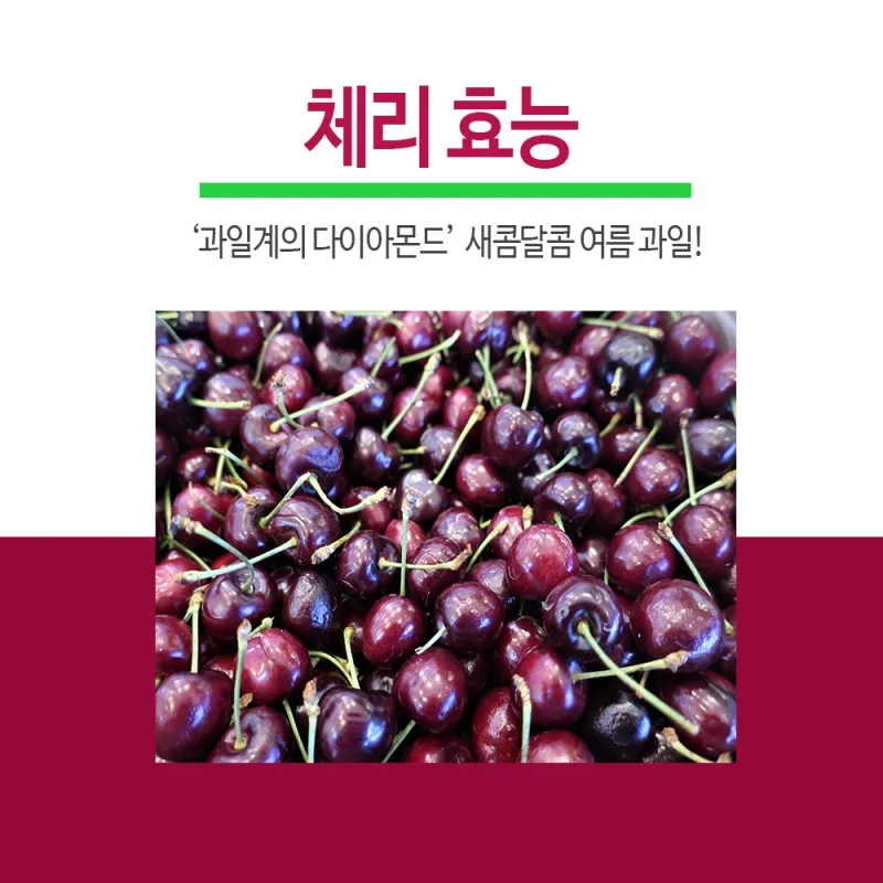 gg_체리 효능_6