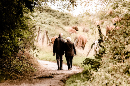 나이든 부부의 산책하는 뒷모습