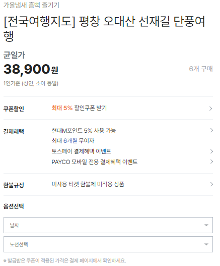 단풍여행 당일 단풍버스여행