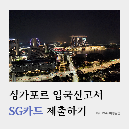 싱가포르 SG카드