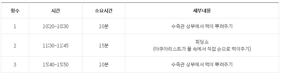 물고기 먹이주기 시간 안내