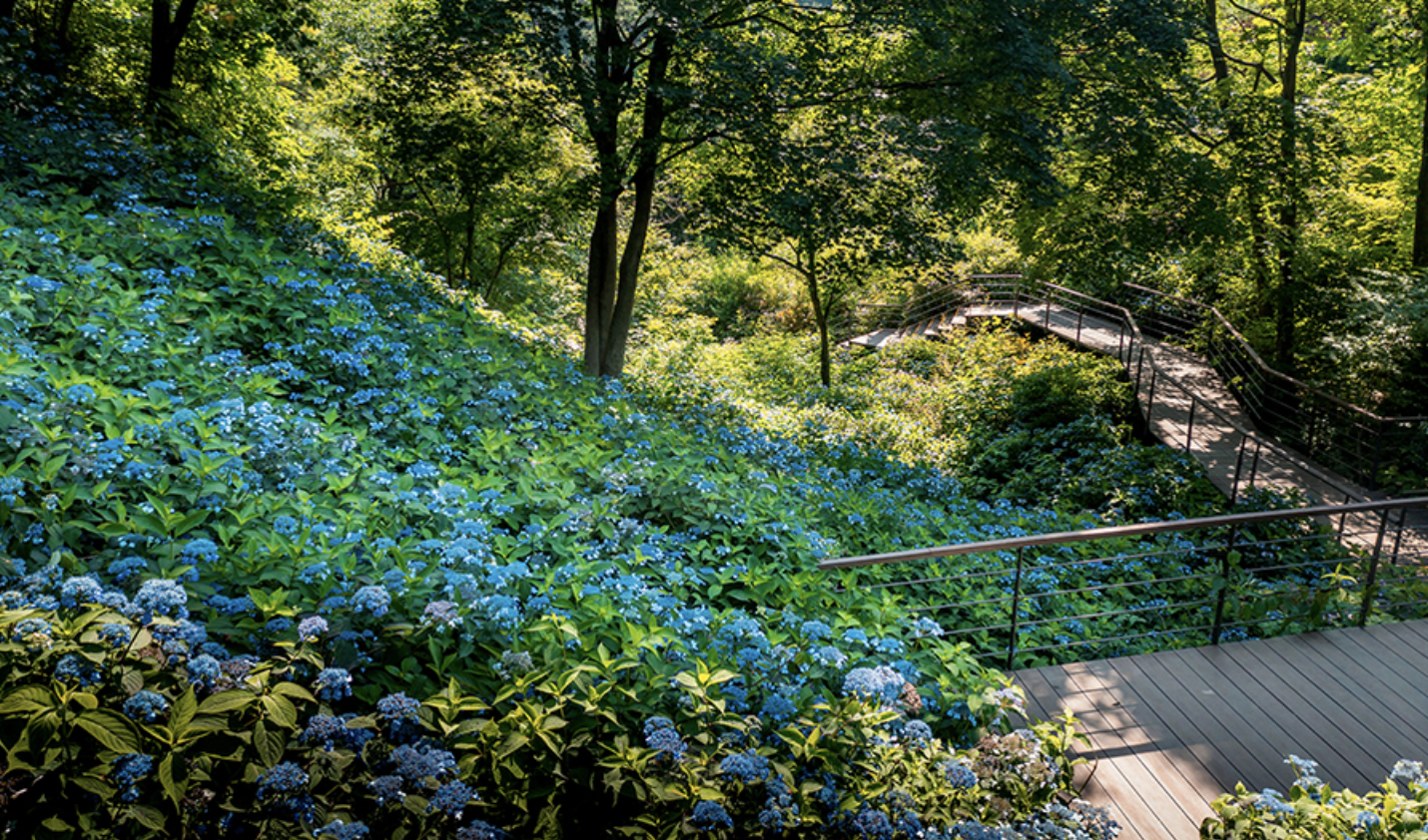 화담숲 화담채 모노레일 사전 예약, 할인받고 예매 하기