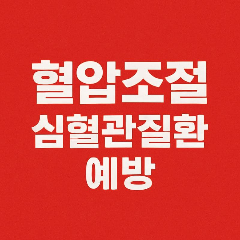 혈압 조절과 심혈관 질환 예방