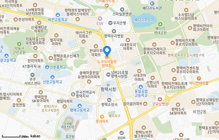 뉴코아아울렛 평택점
