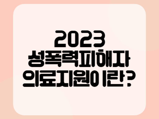 2023 성폭력피해자 의료지원