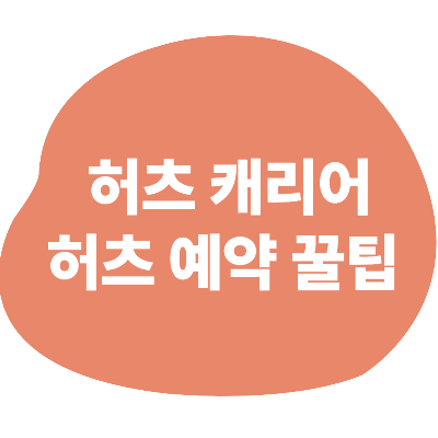 허츠 캐리어 허츠예약 꿀팁