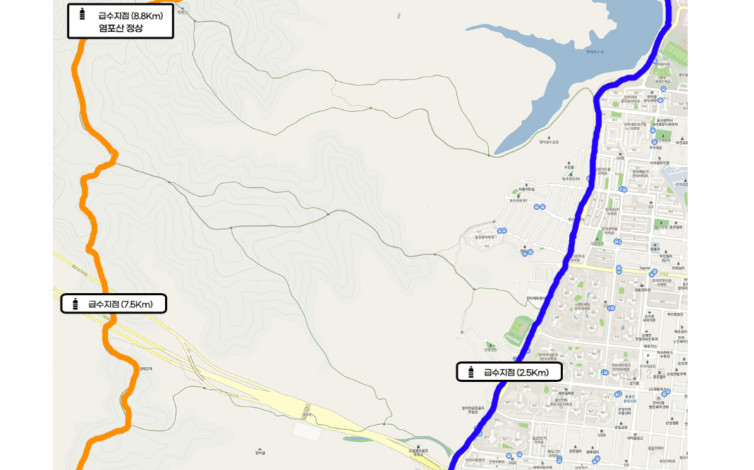 2025년 가을, 염포산 아래를 달리다: 제4회 울산 동구 염포산 전국마라톤대회 한눈 정리