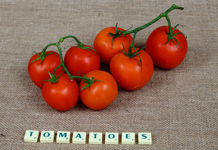 메모리 챔피언들이 사용하는 암기 기술