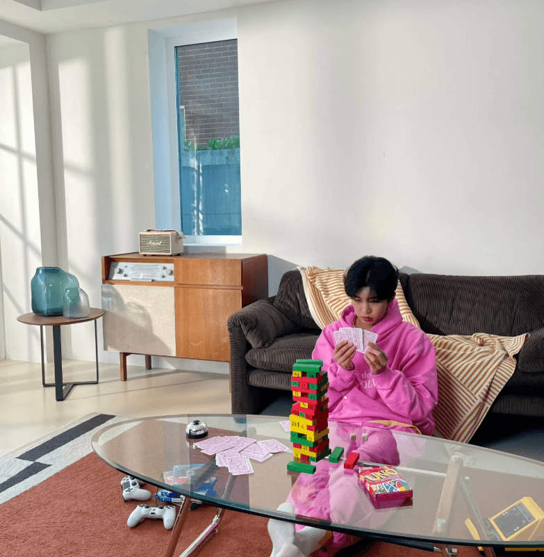 임영웅 세금 체납 압류