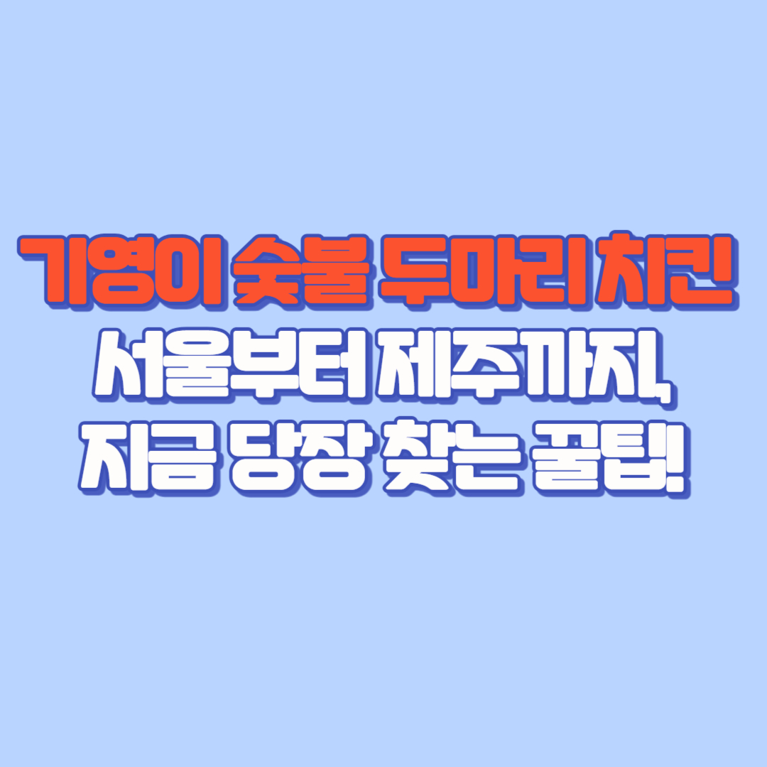 🍗 기영이 숯불 두마리 치킨 &ndash; 서울 인천 대구 부산 울산 천안 포항 거제 제주 대전 광주 세종 수원 청주 금 당장 찾는 꿀팁!