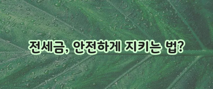 HUG 전세보증보험 지원 신청 완벽하게 안내해 드립니다!