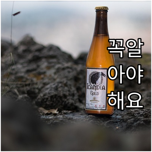 부산 60세 이상 2025 치매 예방..