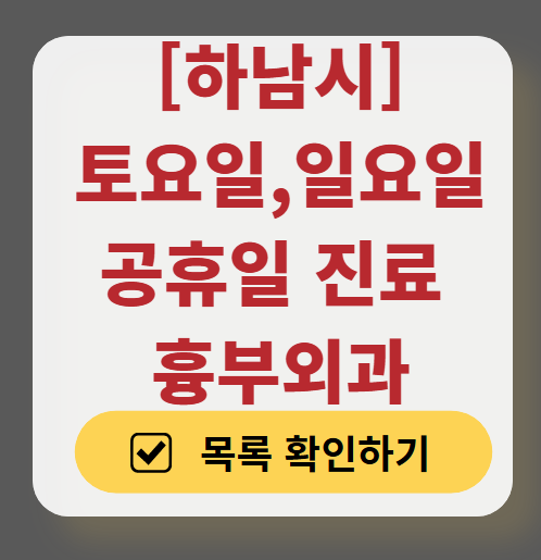 하남시 주말 토요일 일요일 흉부외과 진료 병원 목록 ❘ 공휴일 진료 영업 병원 리스트 찾기