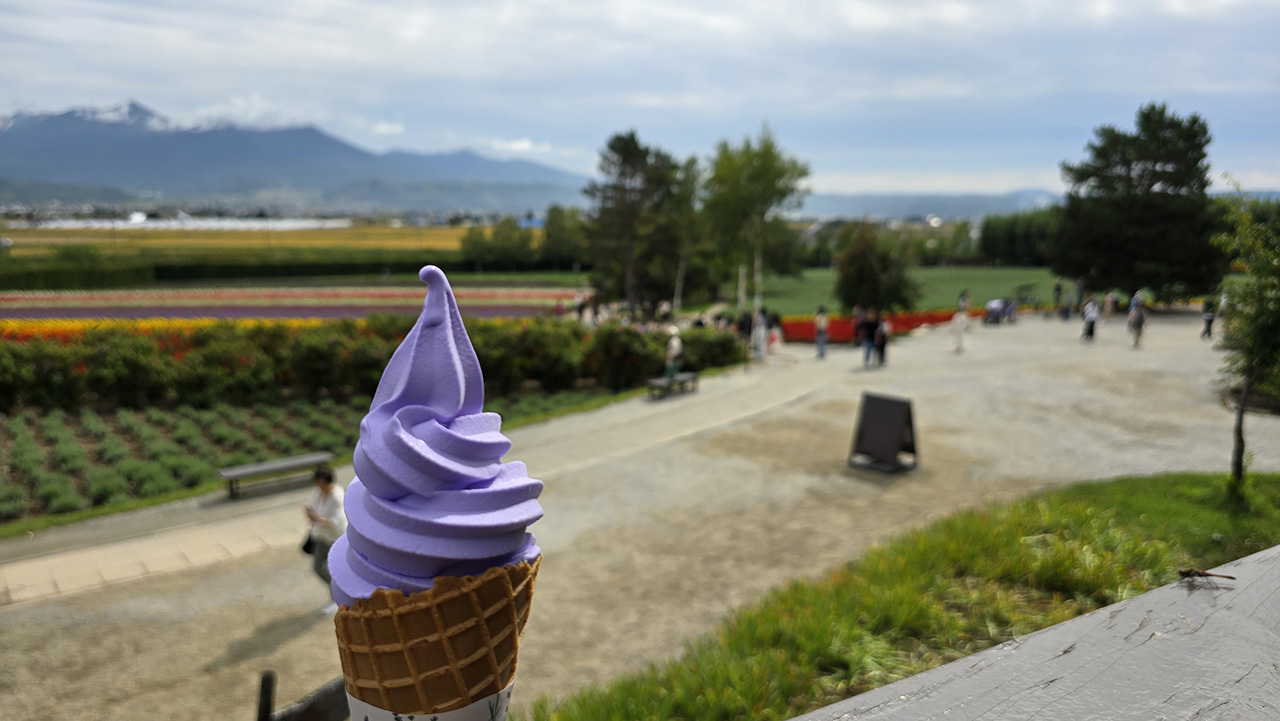 팜토미타 라벤더 아이스크림