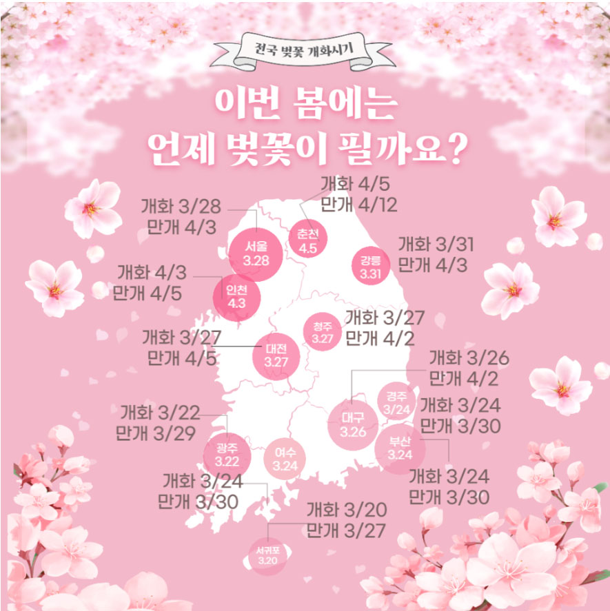 벚꽃개화시기