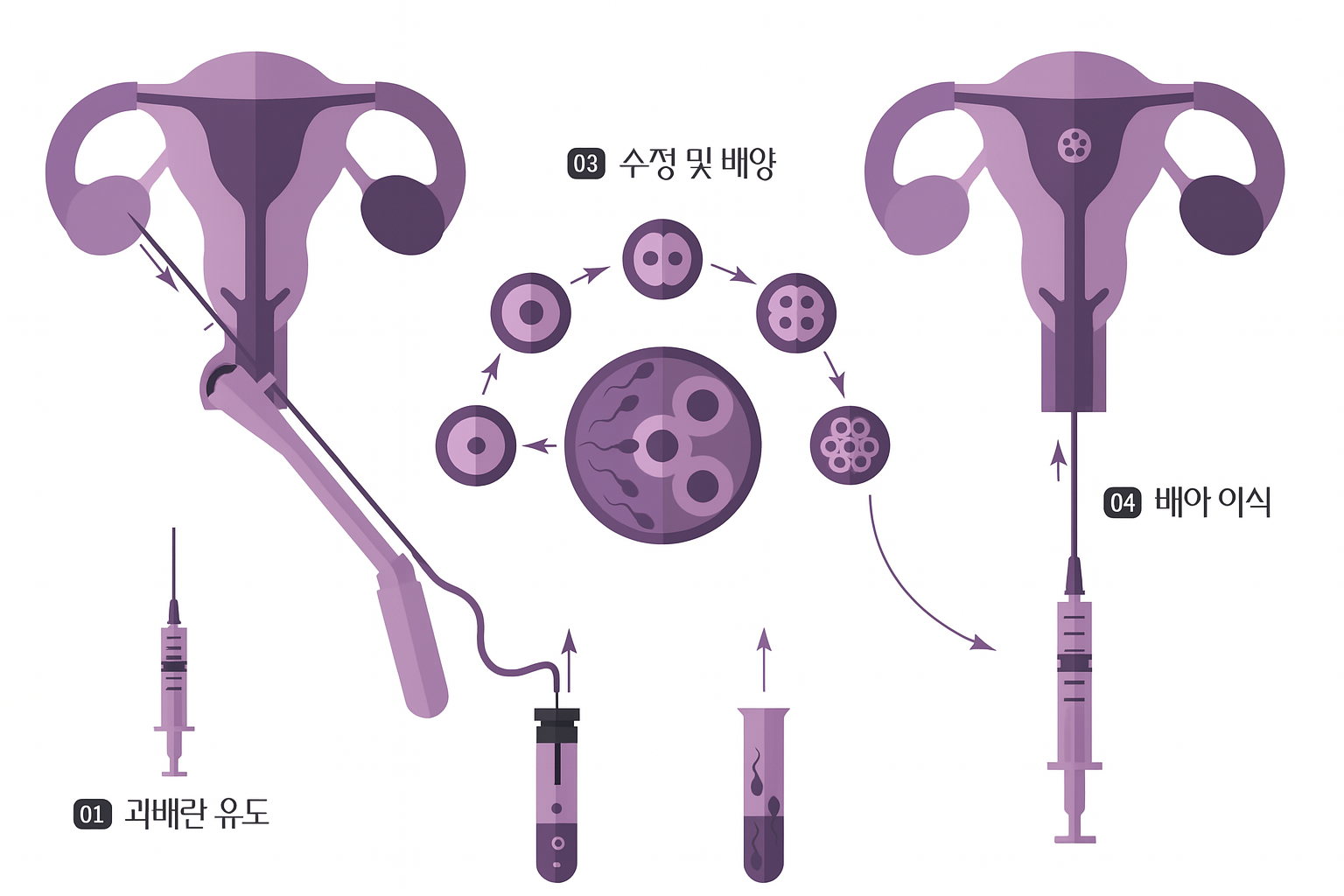 냉동난자 사용 보조생식술 지원 사업