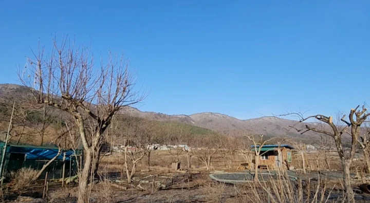 심심산방