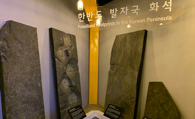 한반도 공룡발자국화석관