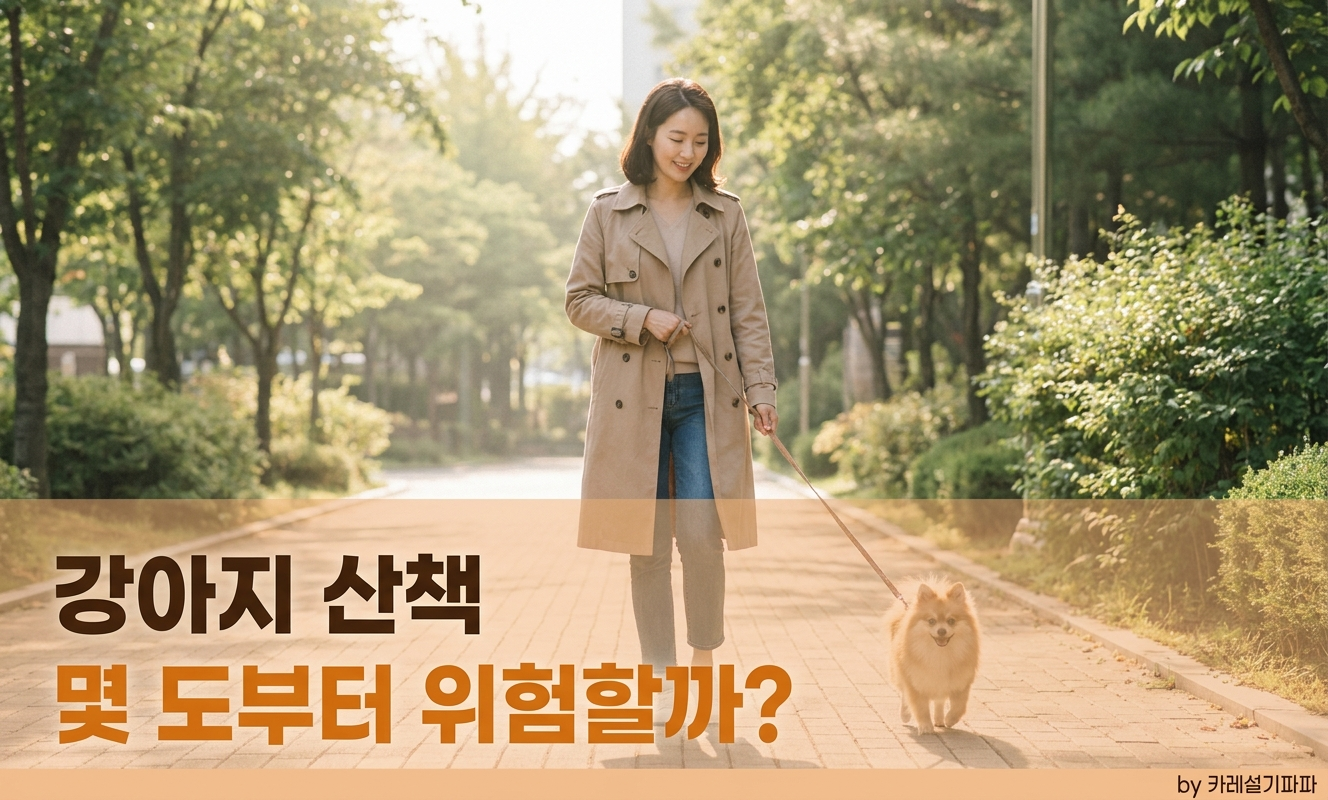 공원에서 강아지와 산책하는 여성