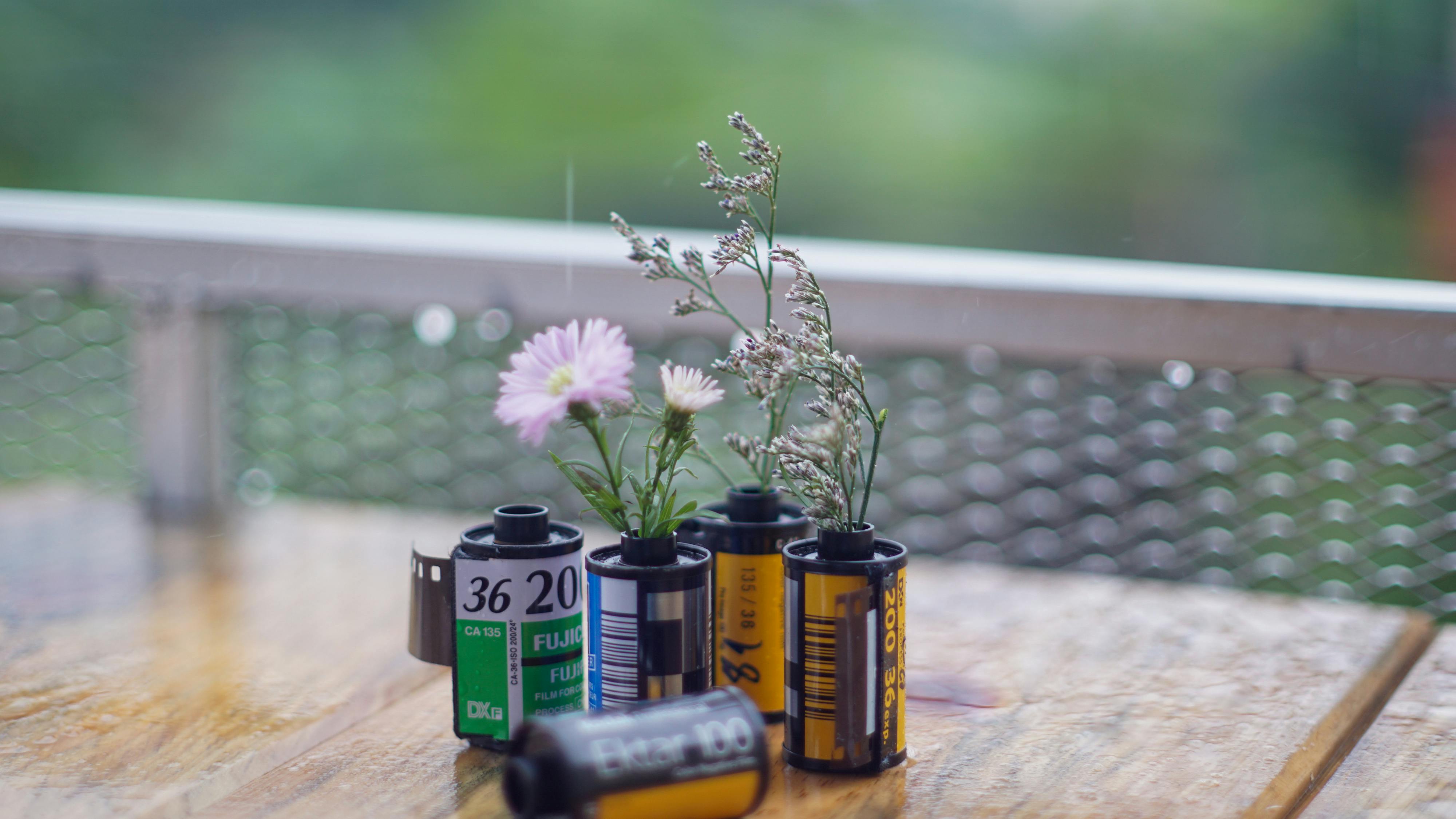 사용이 끝난 필름통을 작은 화분으로 재활용해 꽃과 식물을 꽂아놓은 업사이클링 장식 이미지