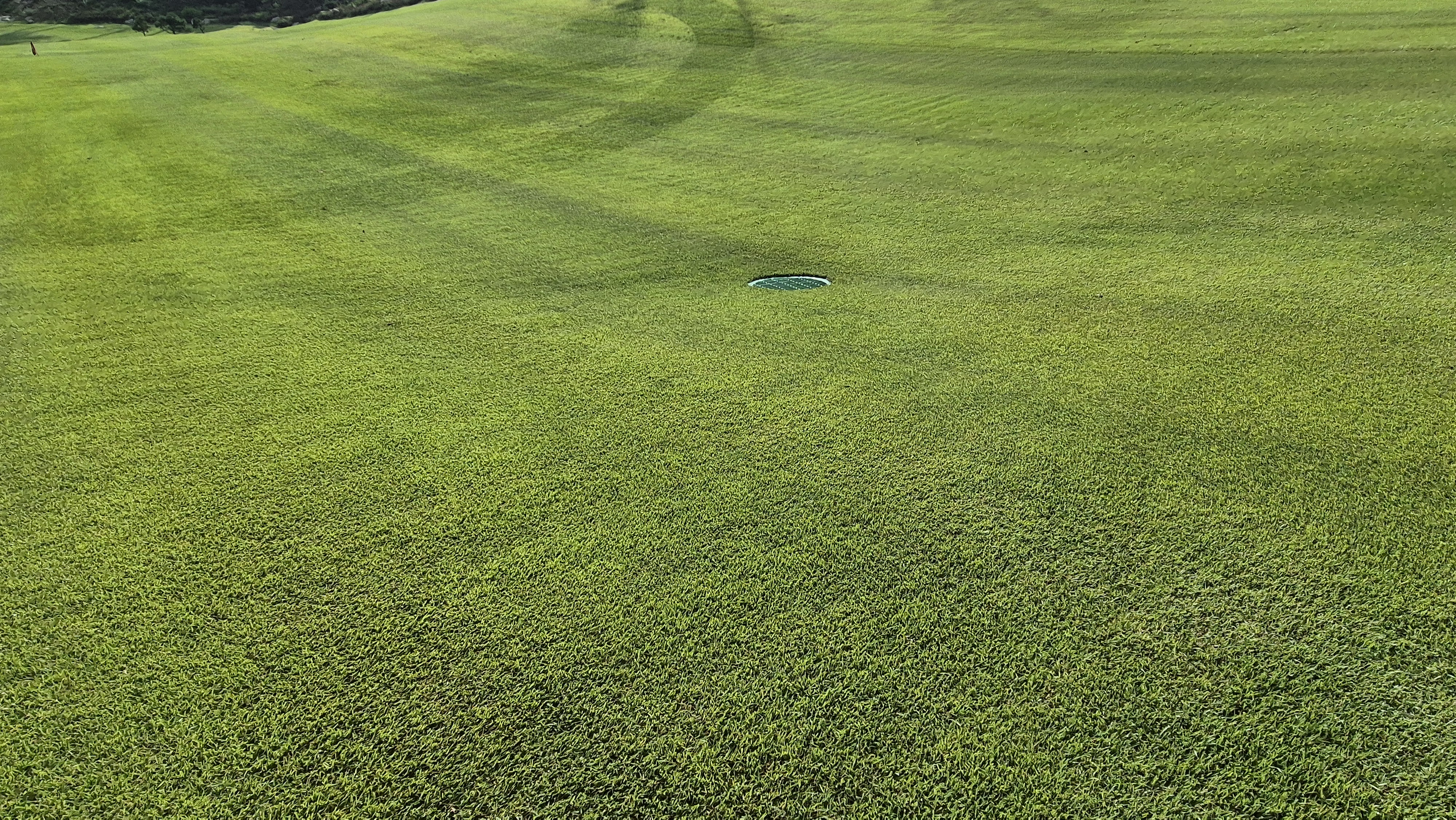 오로라cc 코스 관리 상태