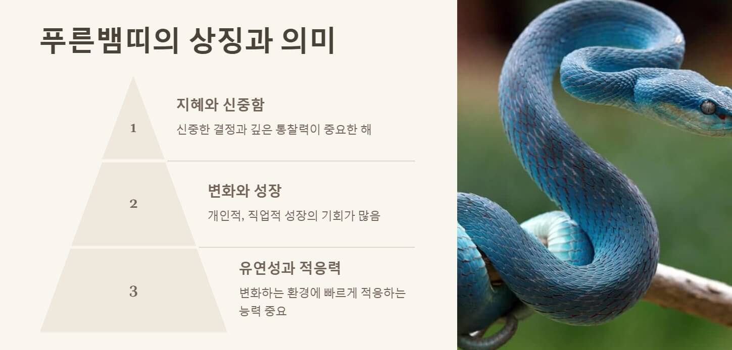 2025년 푸른뱀띠