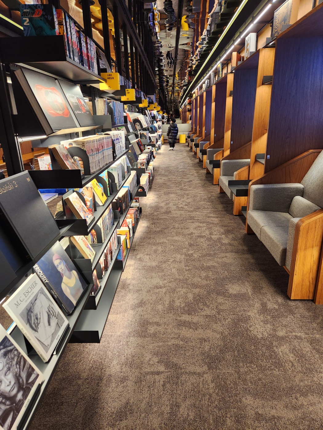 그래픽바이대신