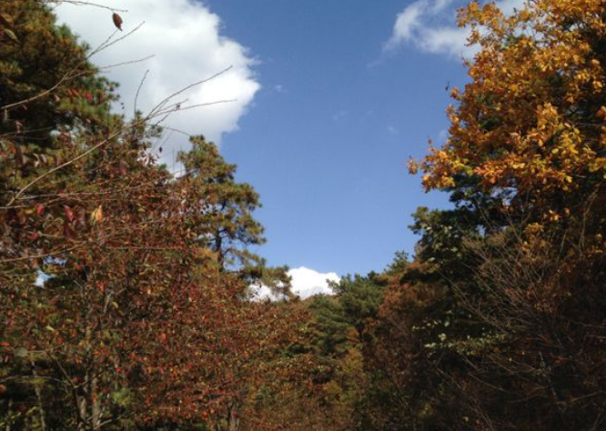 2025 경기도 단풍 명산 BEST ❘ 북한산&middot;남한산성&middot;광교산 등 추천 코스