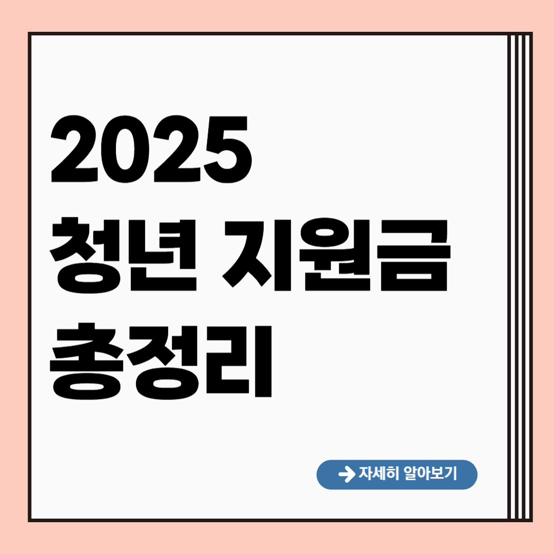 청년 지원금