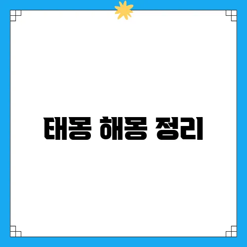 태몽 해몽 정리