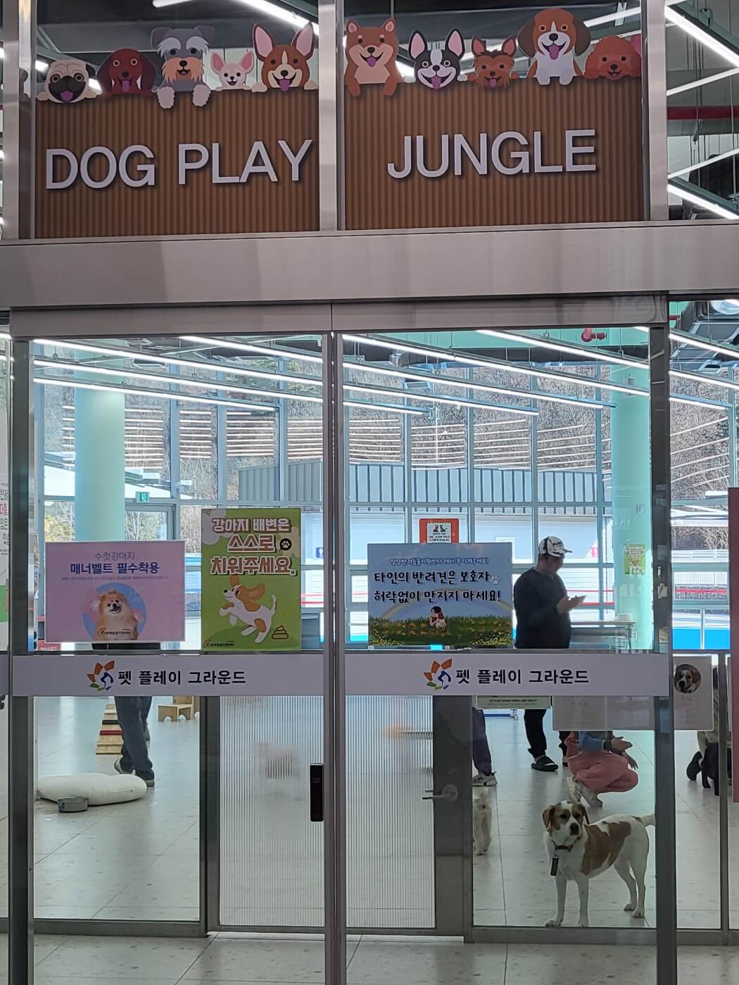 반려동물지원센터 1