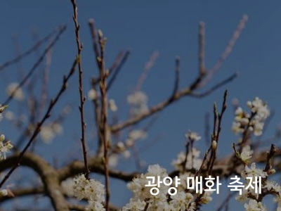 매화
