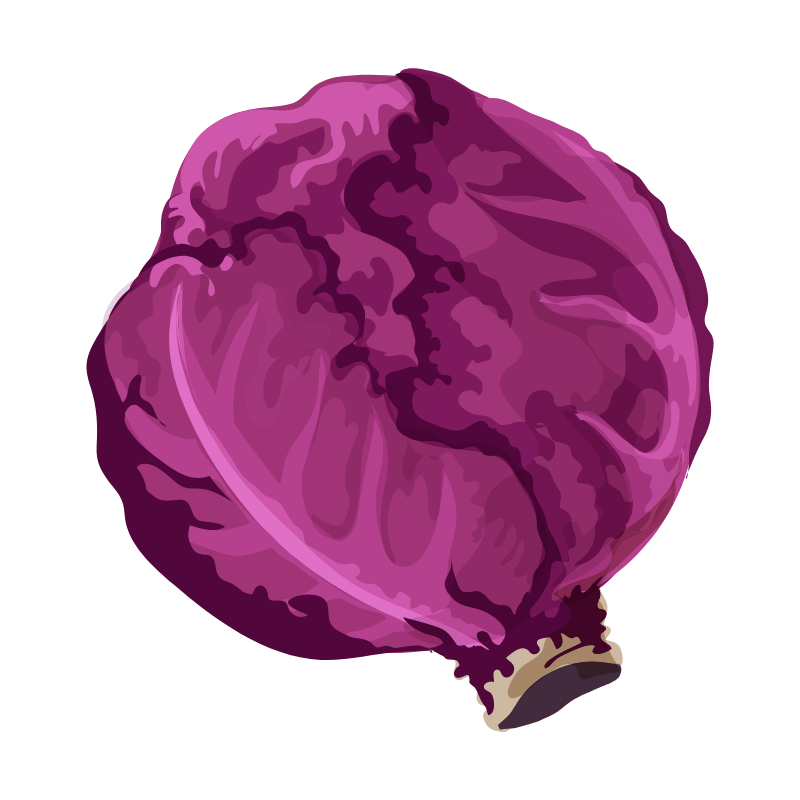 골다공증에 좋은 음식