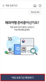 온라인 여권 재발급 신청