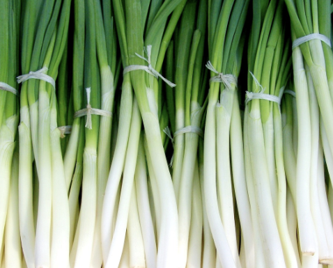 멜라토닌 많은 음식 38