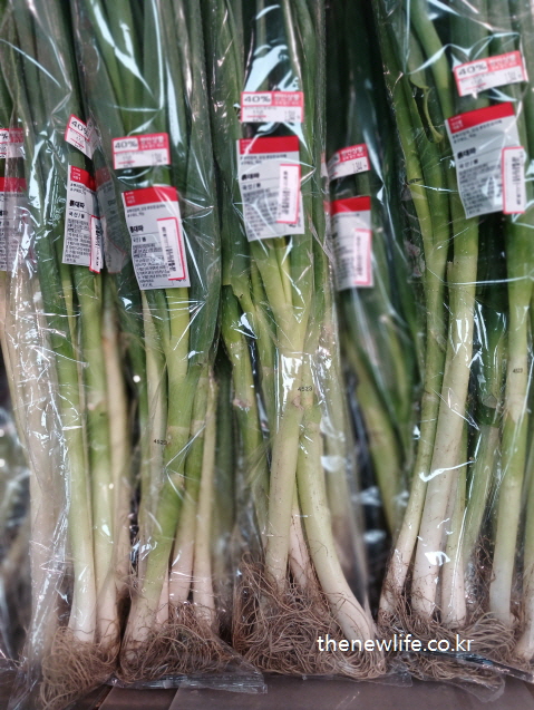 Bundles of green onions packaged neatly, helpful for reducing abdominal fat./복부비만을 줄이는데 도움이 되는 대파가 뿌리째 포장되어 세로로 진열된 모습