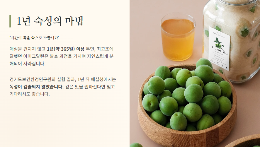 매실청 숙성기간