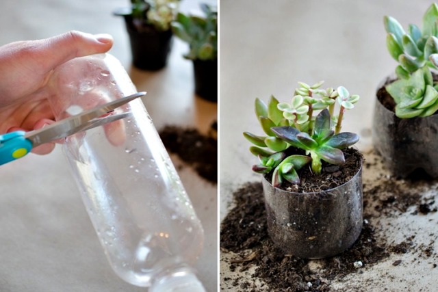 홈가드닝 임시 화분 우유통 재활용 페트병 활용법 공예, 생활 팁줌 매일꿀정보