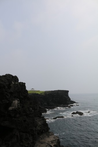 제주를 떠나는 삶 체험자