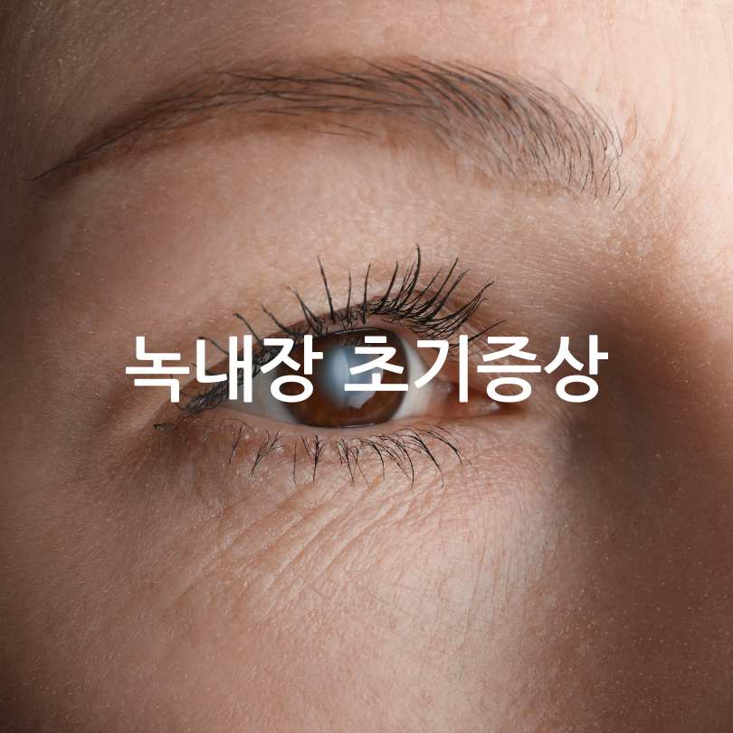 녹내장 초기 증상&amp;#44; 실명 확률 및 진행 속도